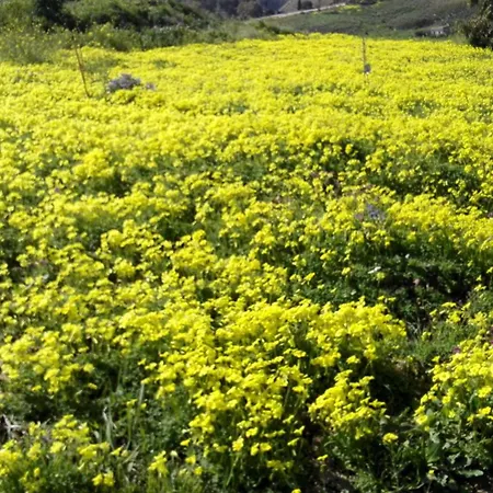 Helimos Bed&Breakfast Segesta Temple-Castellammare Calatafimi