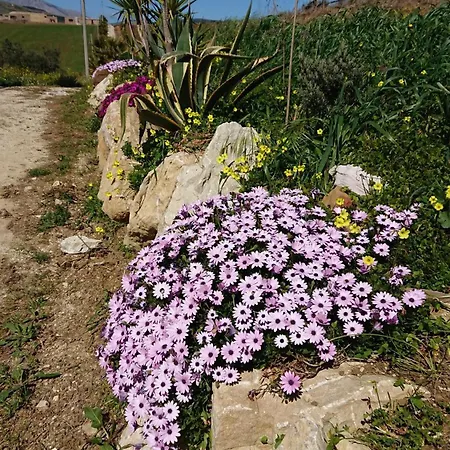 Bed & Breakfast Helimos Bed&Breakfast Segesta Temple-Castellammare *